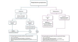 flowchart respiratoire symptomen