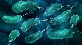 Close-up bacterieën